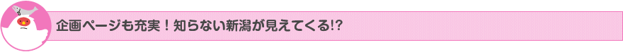 企画ページも充実！知らない新潟が見えてくる!?