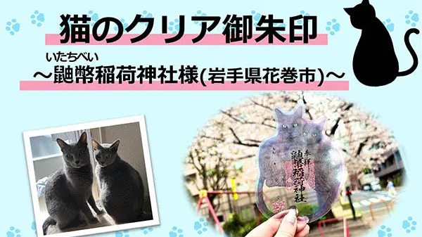 【dinput!】猫のクリア御朱印 ~鼬幣稲荷神社様(岩手県花巻市)~